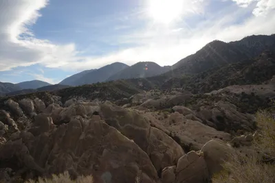 DSC_6230 (Large).JPG